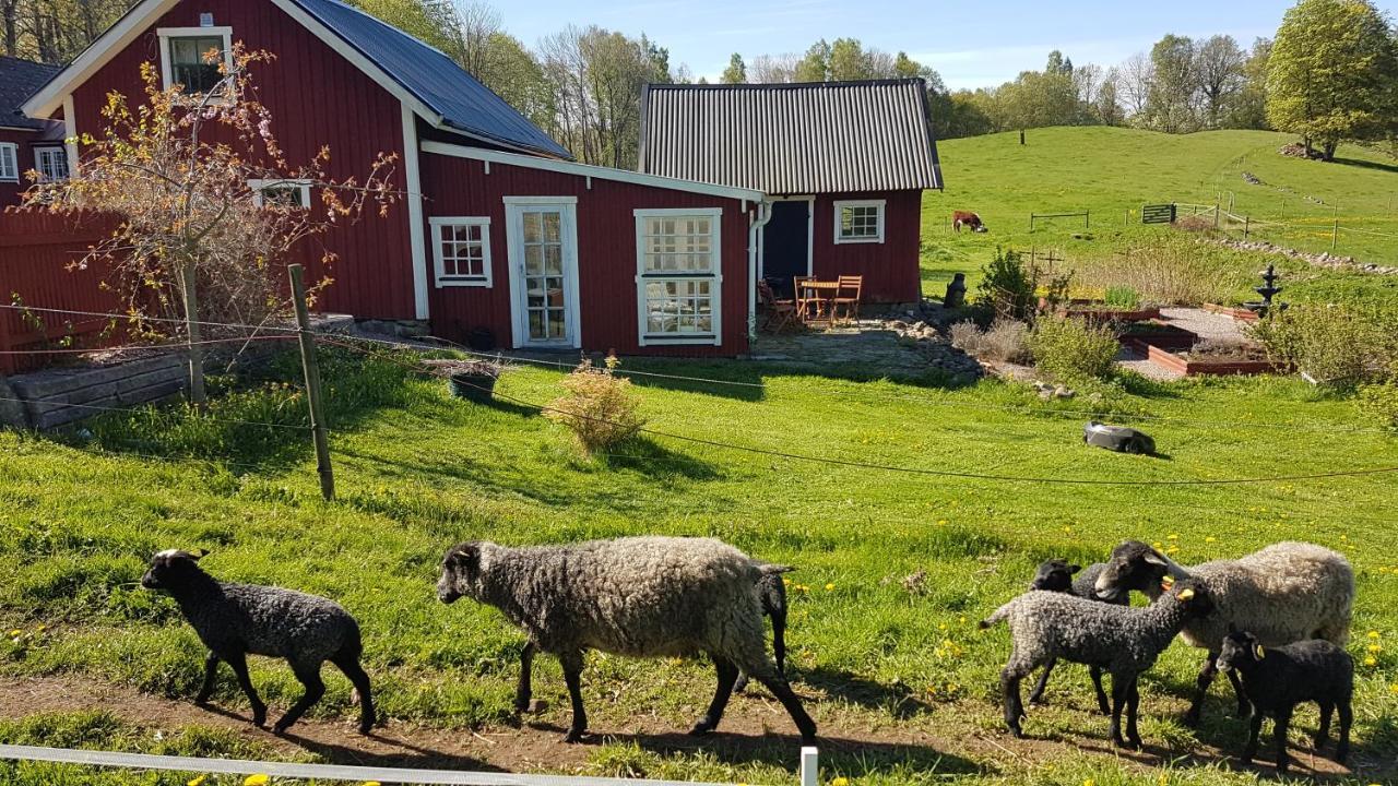 Bed and Breakfast Sjoebacken Gard Lerdala Zewnętrze zdjęcie